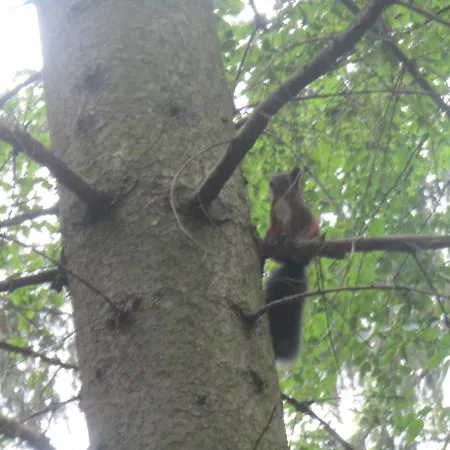 Rekreacni Dum V Brdech Pod Svatou Annou Ohrazenice (Pribram)