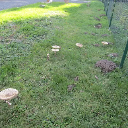 Rekreacni Dum V Brdech Pod Svatou Annou Tatil Evi